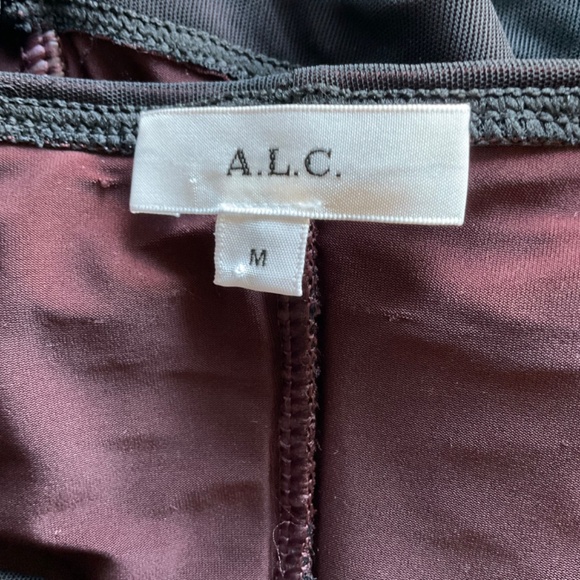 A.L.C  Black Jackie Mesh Long Sleeve Top Blouse ruched sheer whimsigoth fairy M - Picture 5 of 16